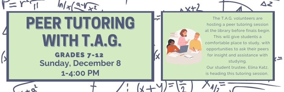 12-8 Peer Tutoring with TAG